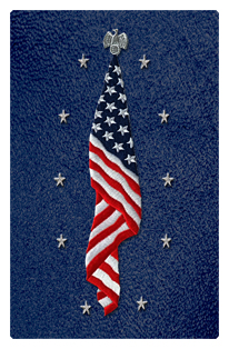 DF35T 421 SH BL Flag at Rest Shimmer Blue